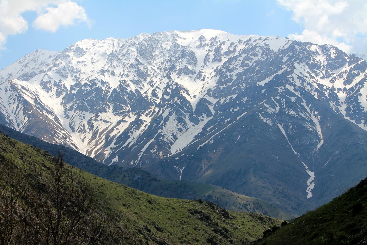 Окрестности с. Жабаглы, image of landscape/habitat.