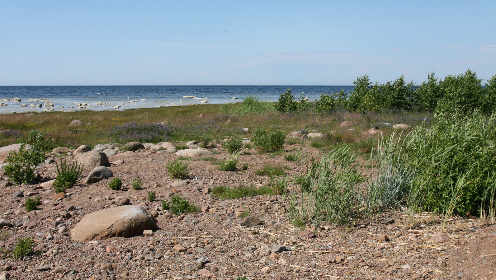 Шепелёвский маяк, image of landscape/habitat.