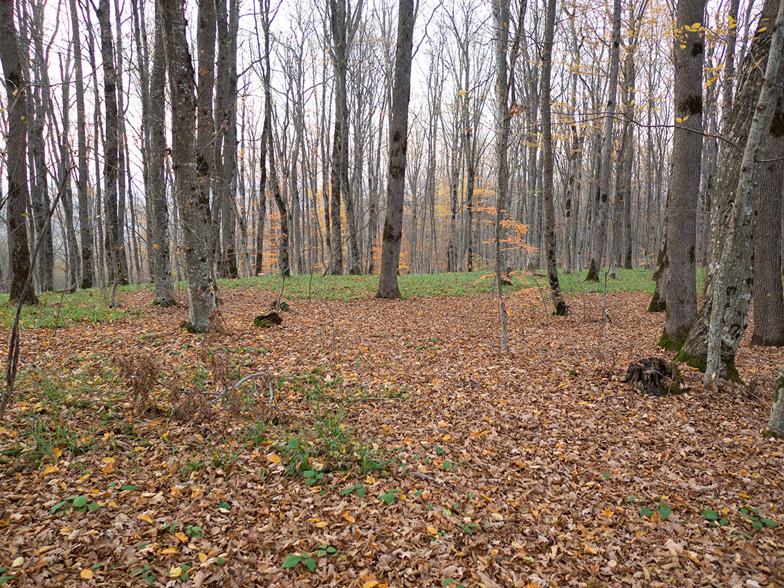 Глубокий Яр, image of landscape/habitat.