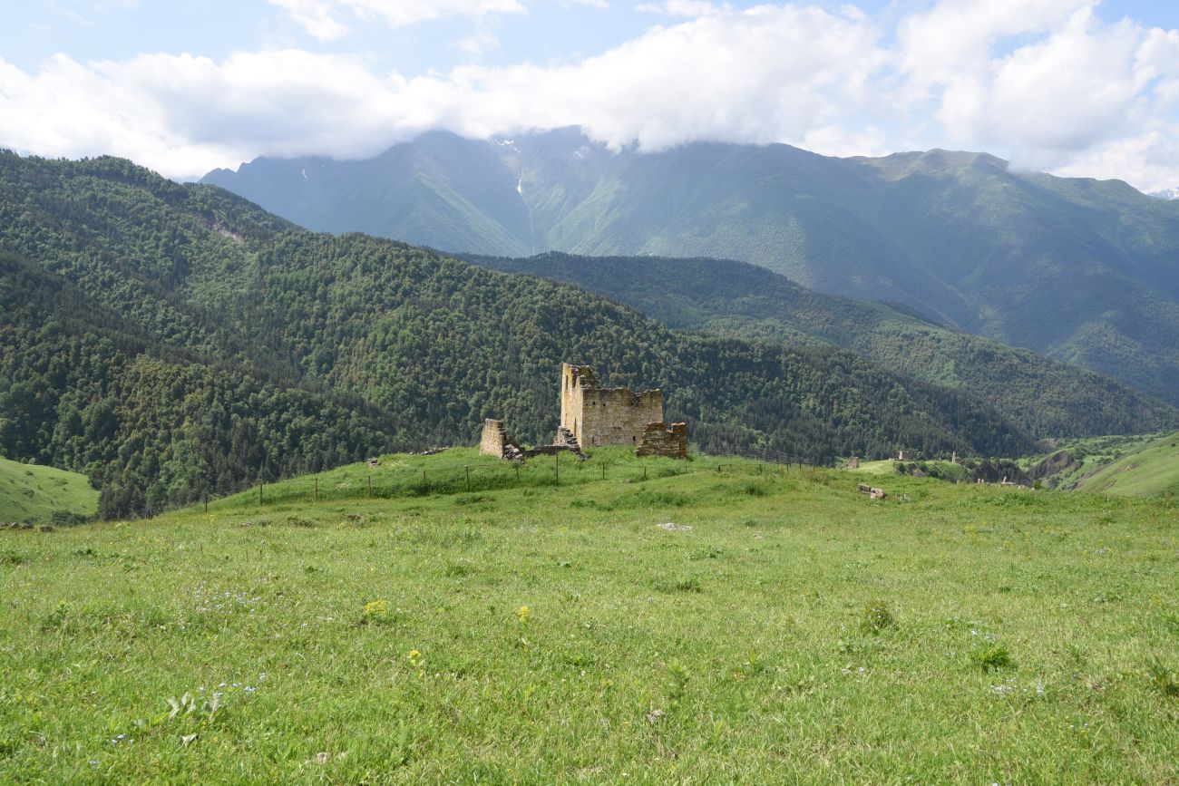 Окрестности урочища Мусиево, image of landscape/habitat.