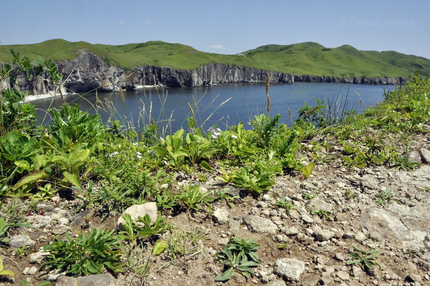 Полуостров Брюса, image of landscape/habitat.