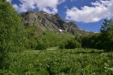 Image of landscape