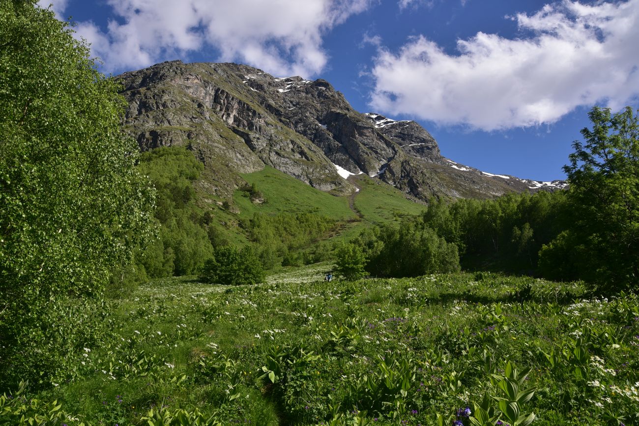 Река Когутайка, image of landscape/habitat.