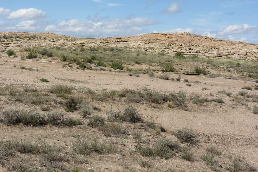 Граниты севернее залива Актас, image of landscape/habitat.