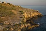 Санта Мария ди Леука, image of landscape/habitat.