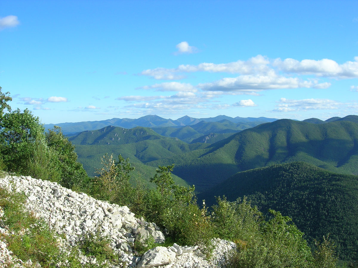 Окрестности города Дальнегорск, image of landscape/habitat.