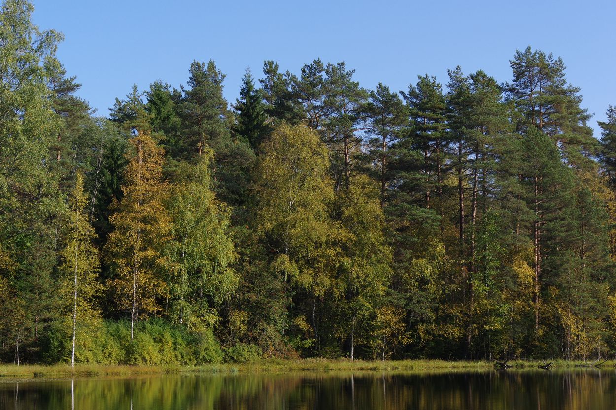 Озеро Змеёвка, image of landscape/habitat.