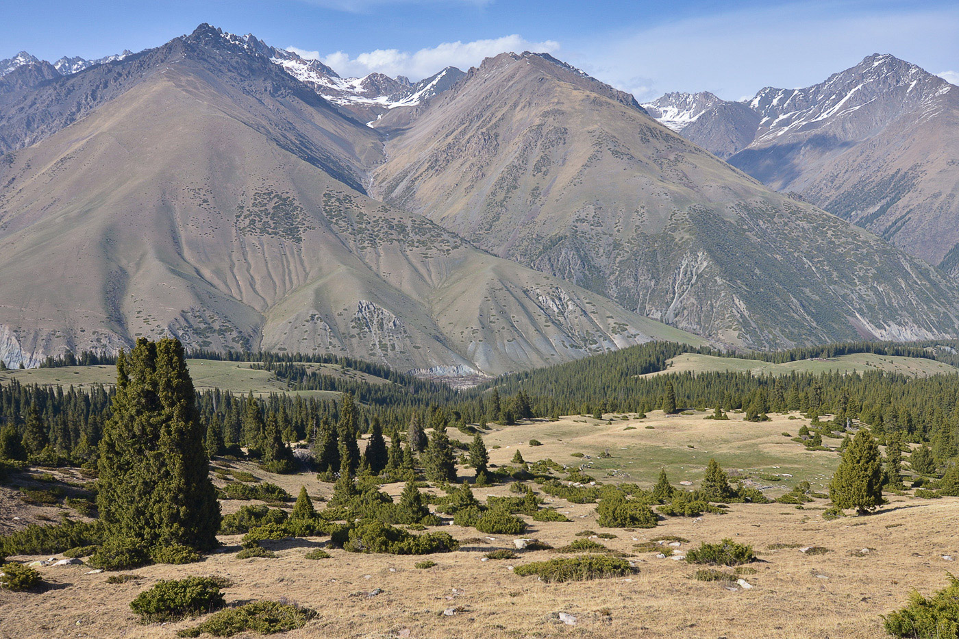 Григорьевское ущелье, image of landscape/habitat.