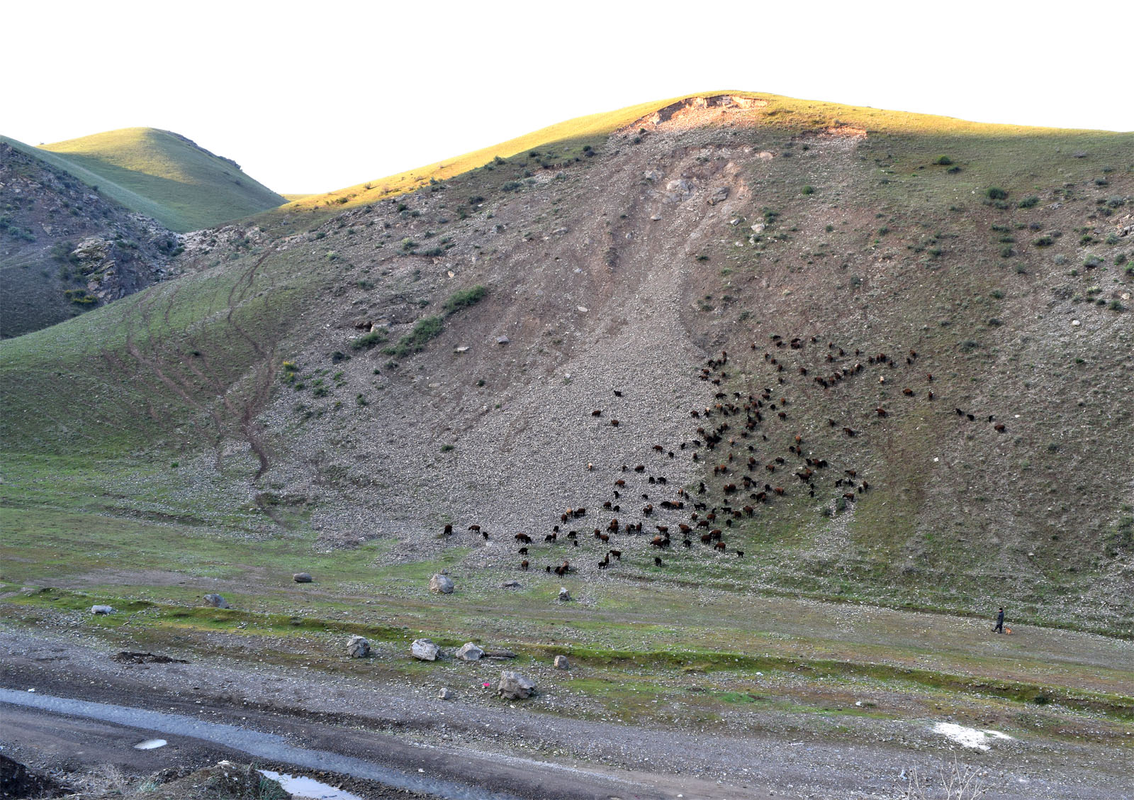 Низовье реки Сувлисай, image of landscape/habitat.