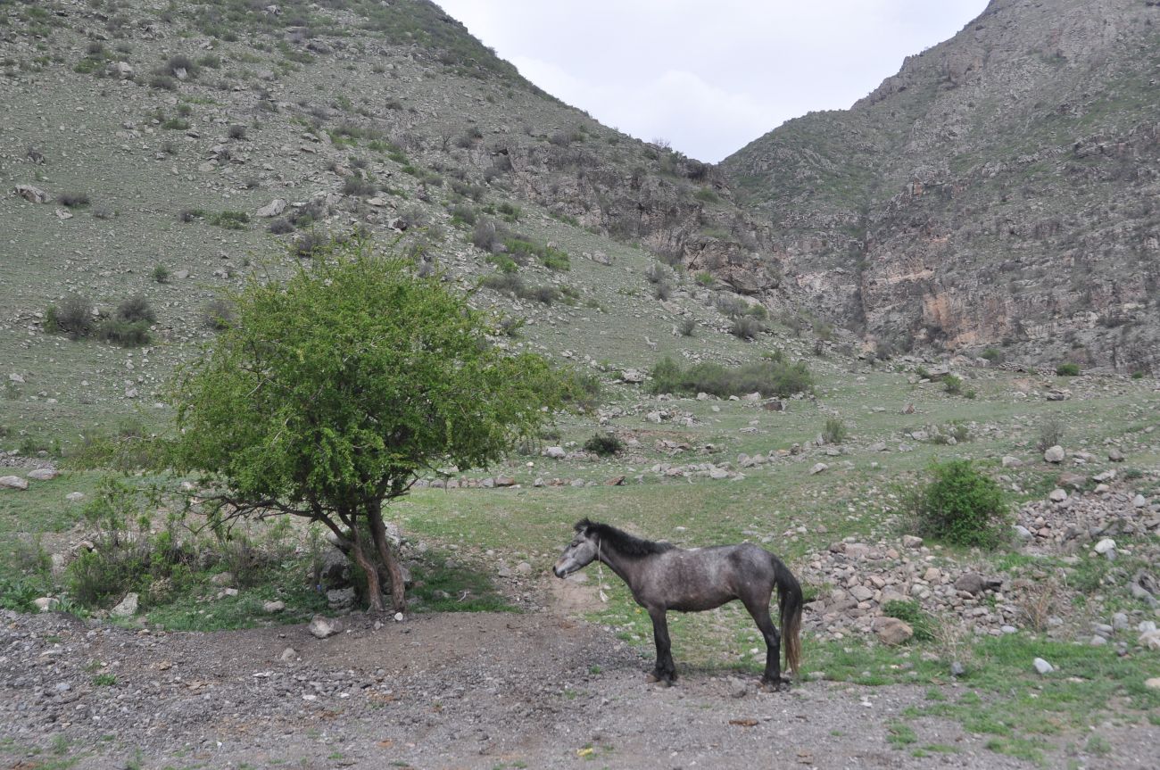 Окрестности монастыря Такветула, image of landscape/habitat.