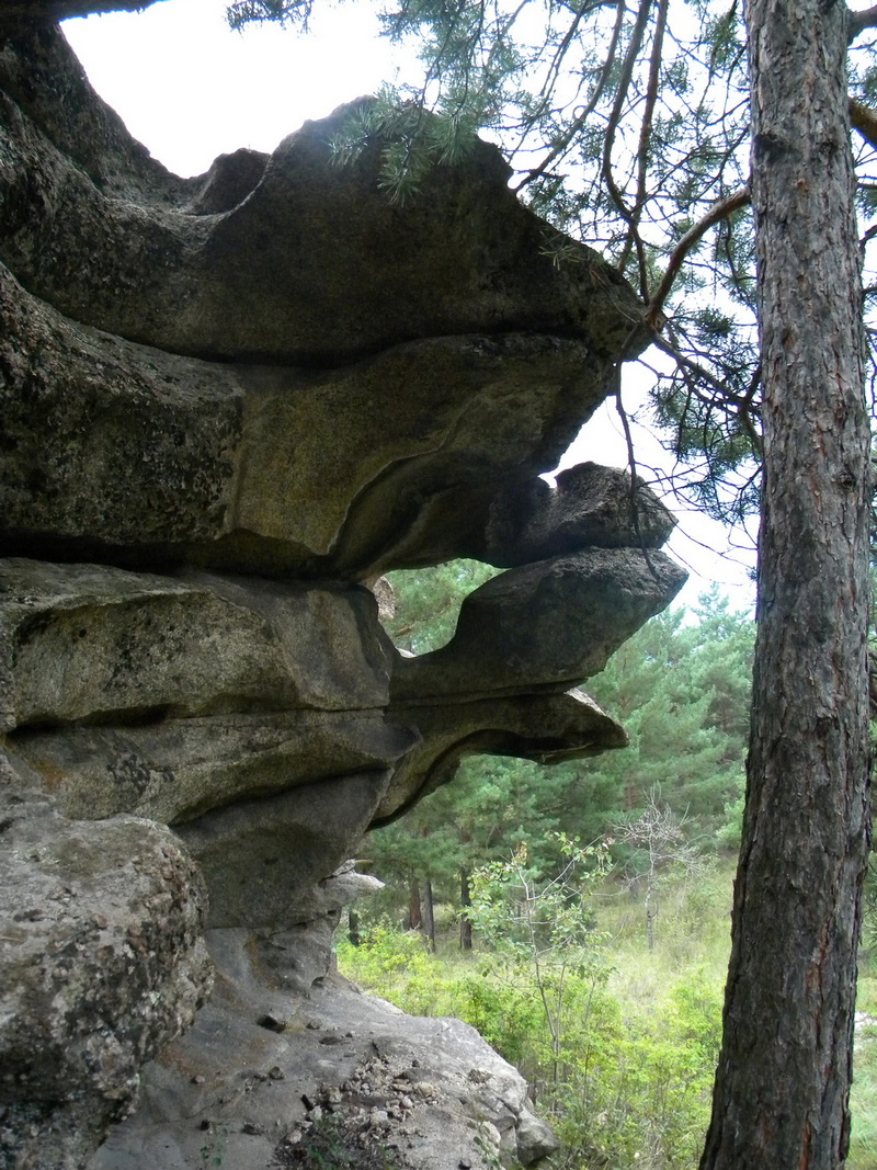 Голубой залив, image of landscape/habitat.