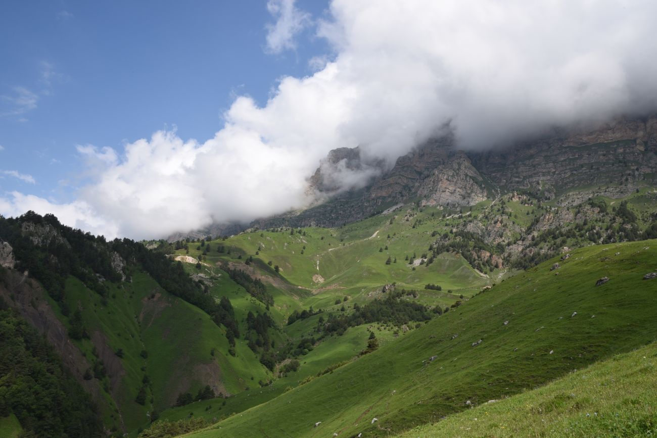 Окрестности урочища Мусиево, image of landscape/habitat.