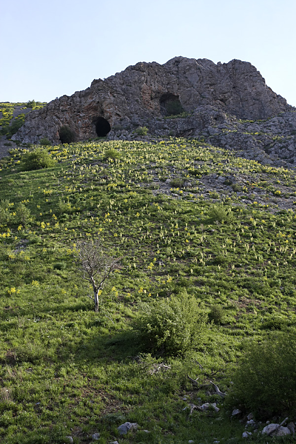 Ущелье Кенозен, image of landscape/habitat.