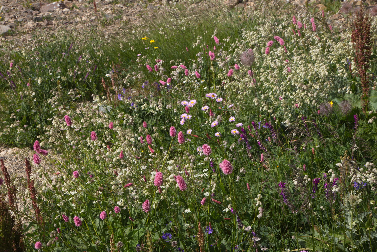 Гора Мусса-Ачитара, image of landscape/habitat.