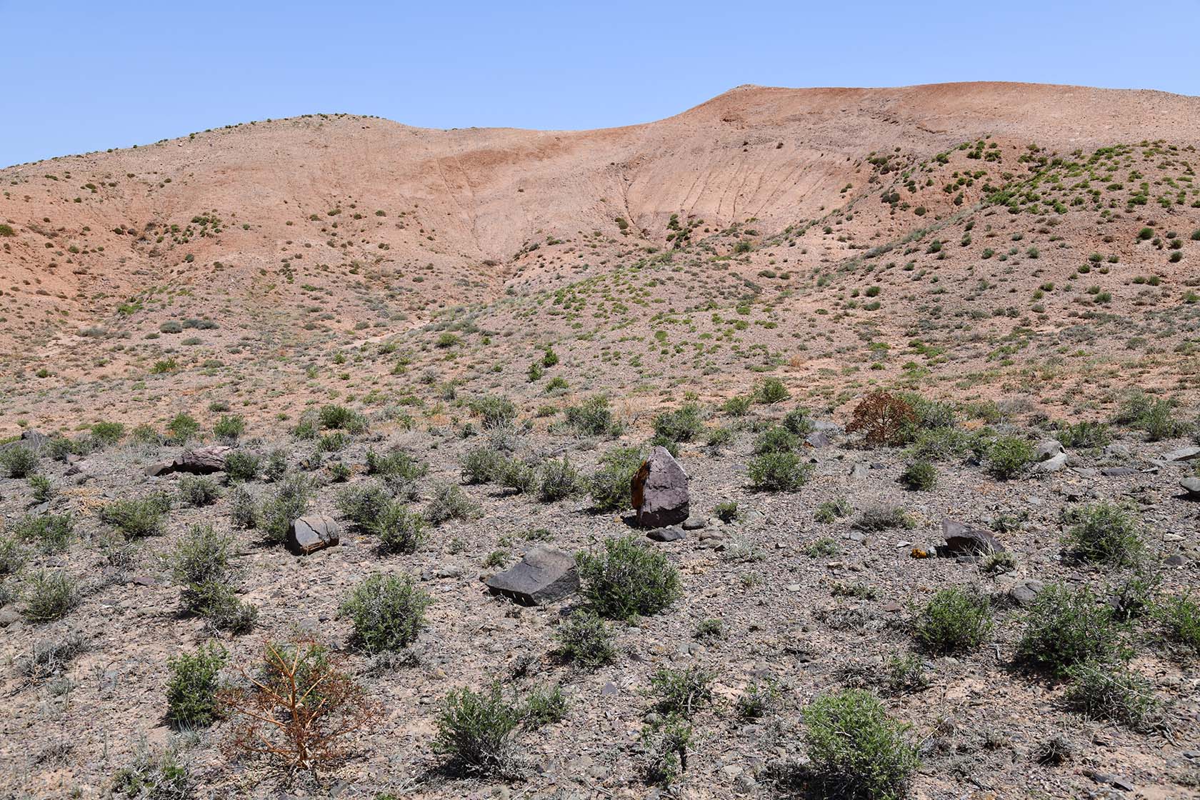 Бала-Богуты, изображение ландшафта.