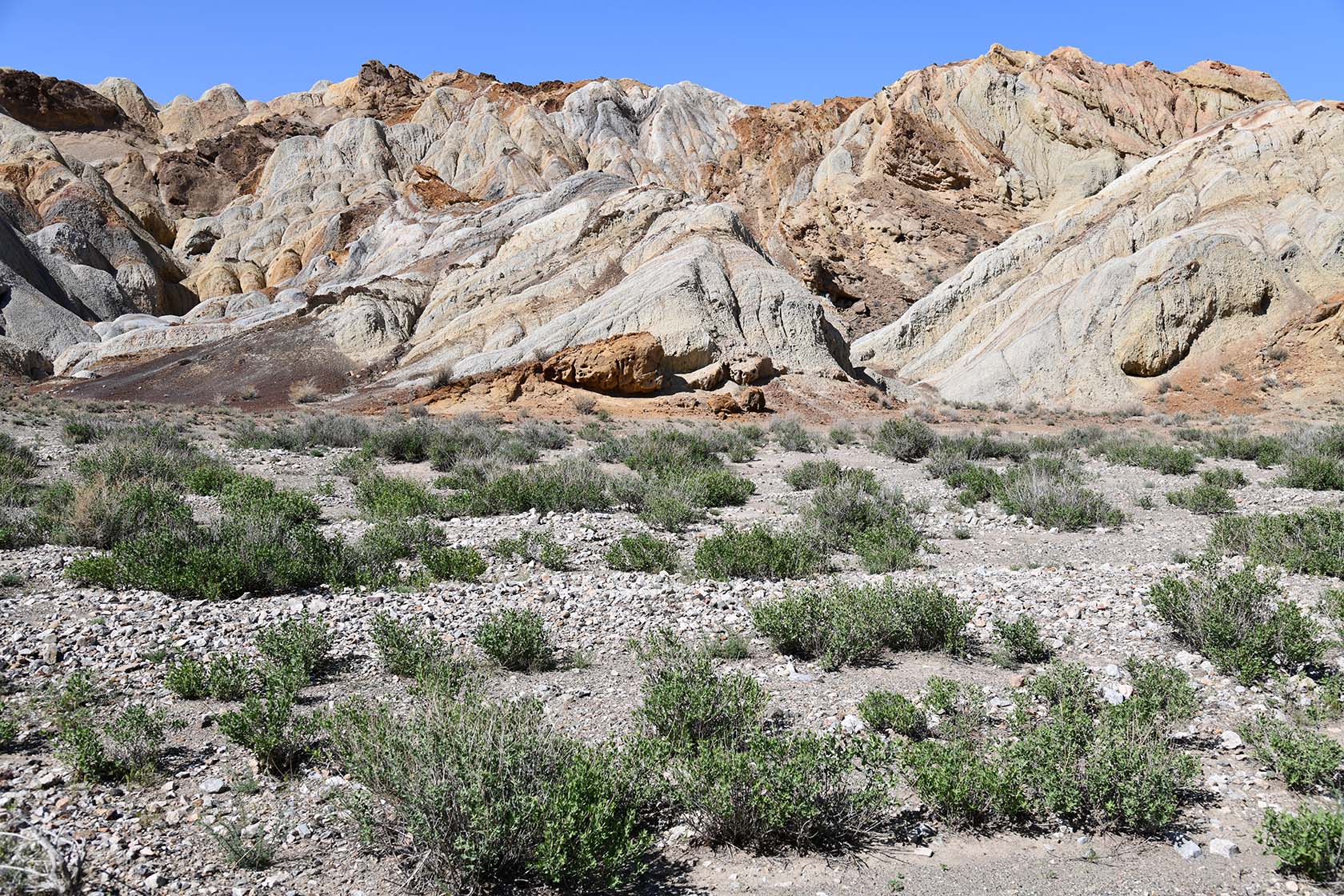 Мадыген, image of landscape/habitat.