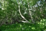Image of landscape
