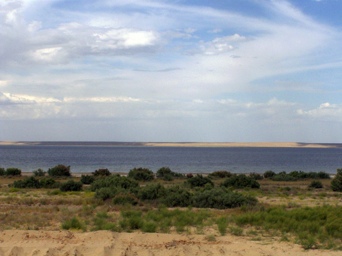 Окрестности озера Денгизкуль, image of landscape/habitat.