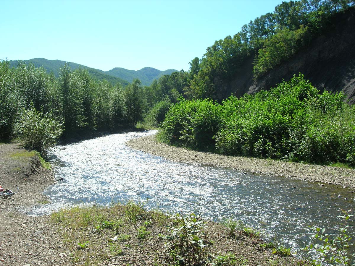 Окрестности города Дальнегорск, image of landscape/habitat.