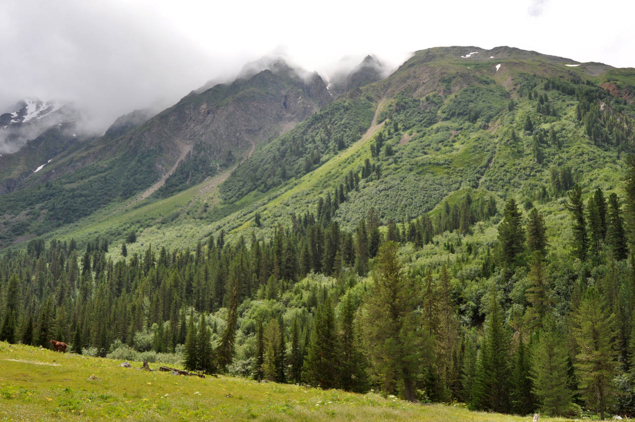 Долина реки Аржаан-Хем, image of landscape/habitat.