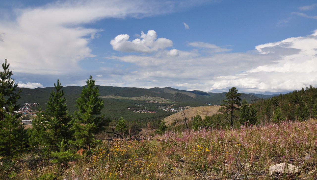 Окрестности Улан-Удэ, image of landscape/habitat.