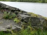 Воркута, image of landscape/habitat.