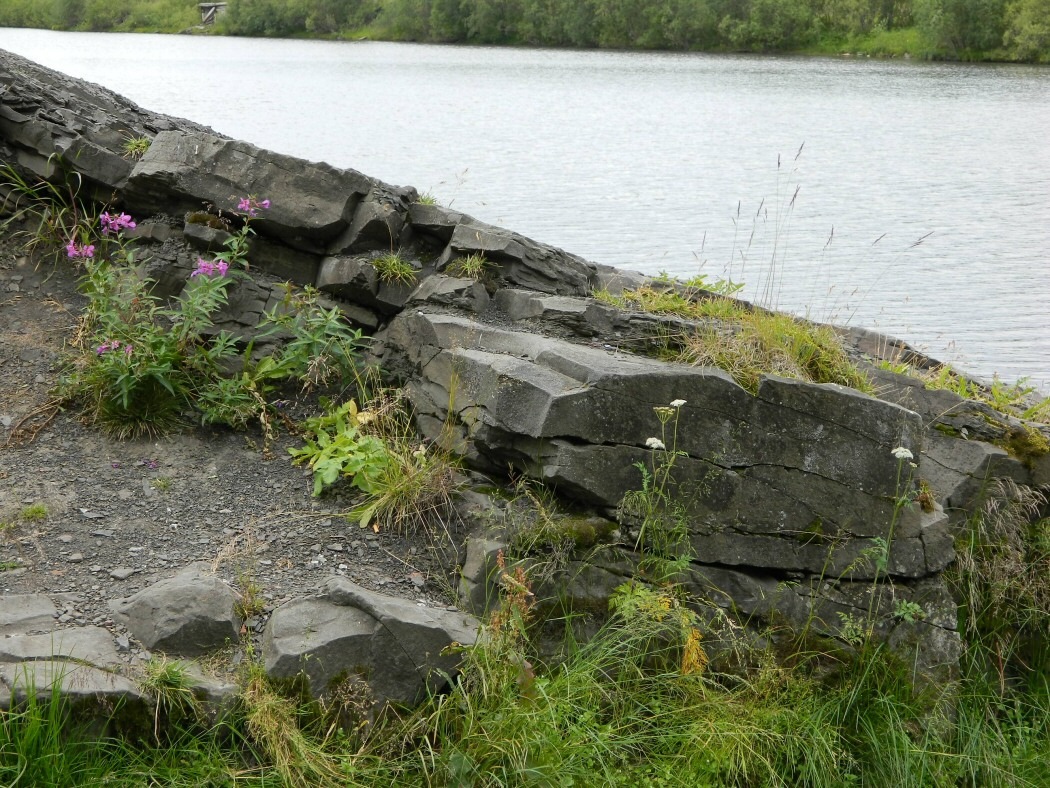 Воркута, image of landscape/habitat.