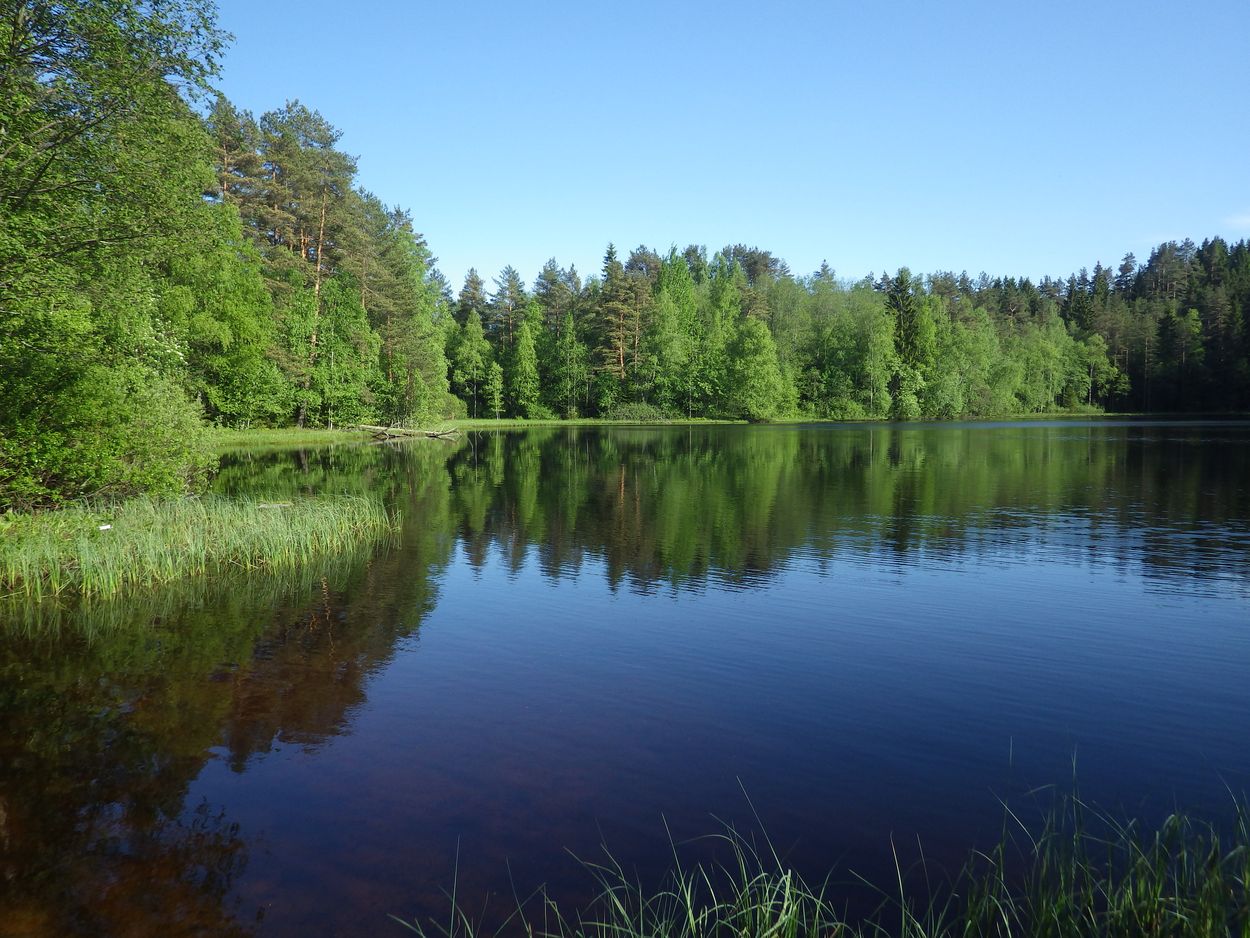 Озеро Змеёвка, изображение ландшафта.