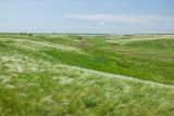 Сухая Кугульта, image of landscape/habitat.