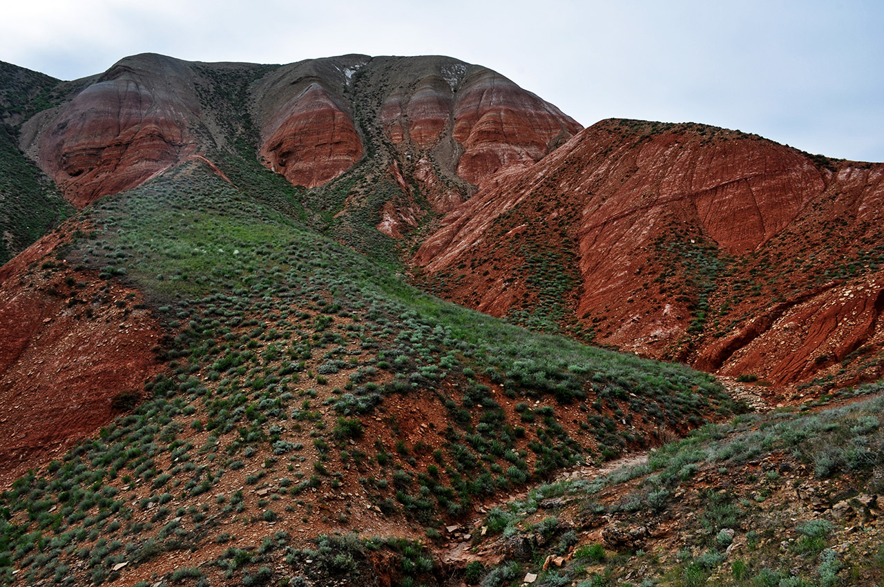 Гора Большое Богдо, image of landscape/habitat.