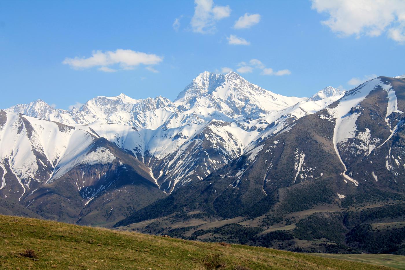 Окрестности с. Жабаглы, image of landscape/habitat.