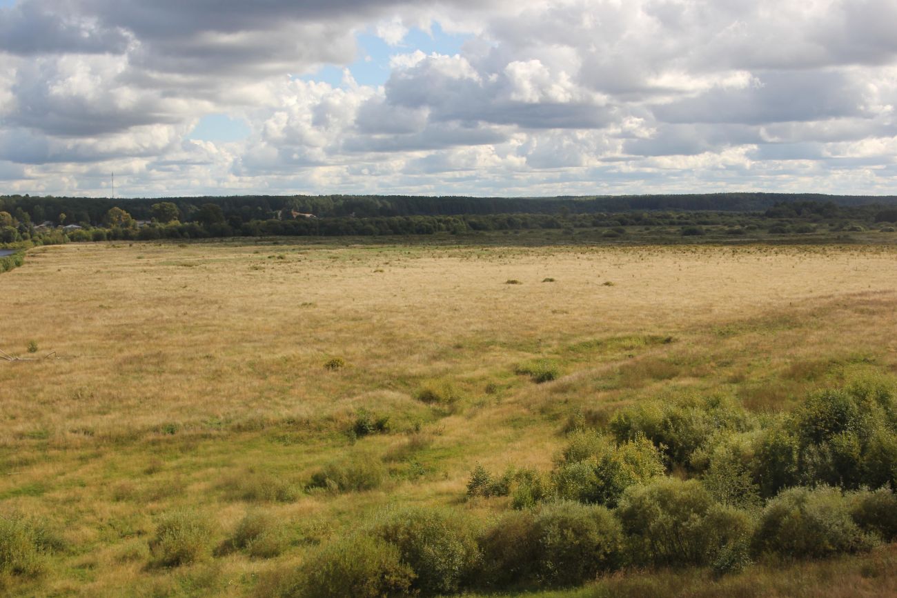 Кологривская пойма, image of landscape/habitat.