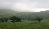 Image of landscape