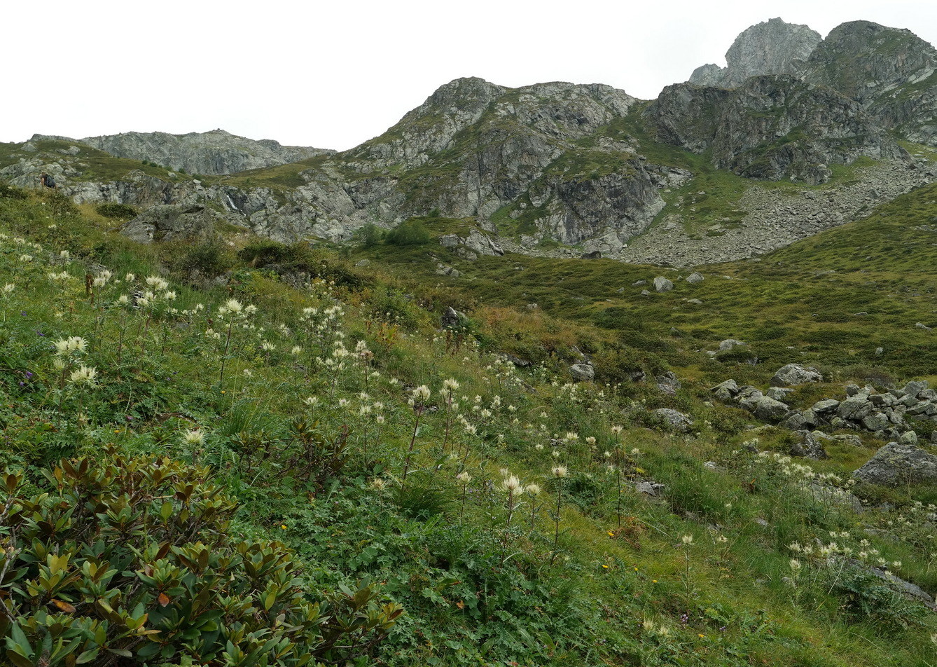 Ущелье реки Азгек, image of landscape/habitat.