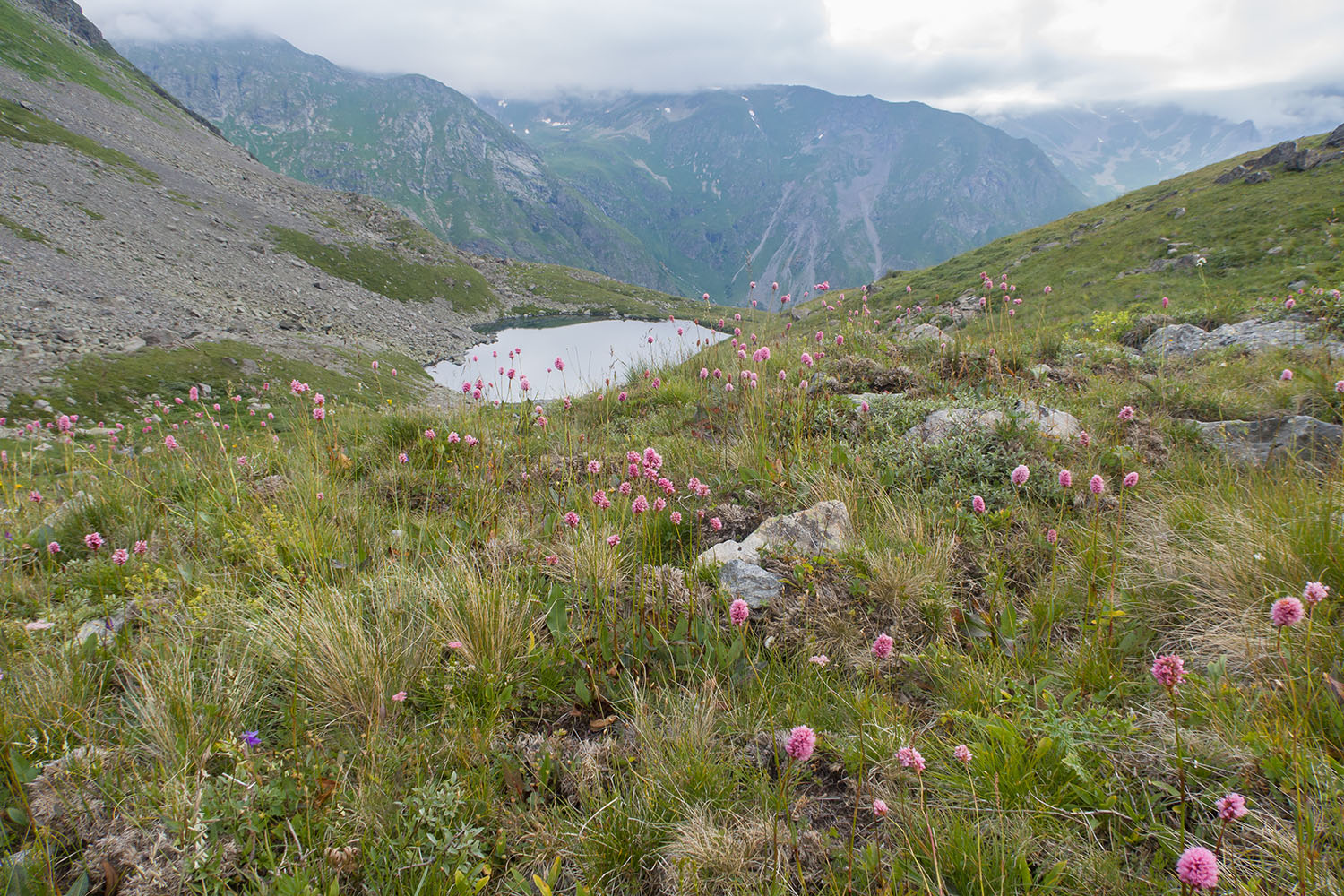 Проточное, image of landscape/habitat.