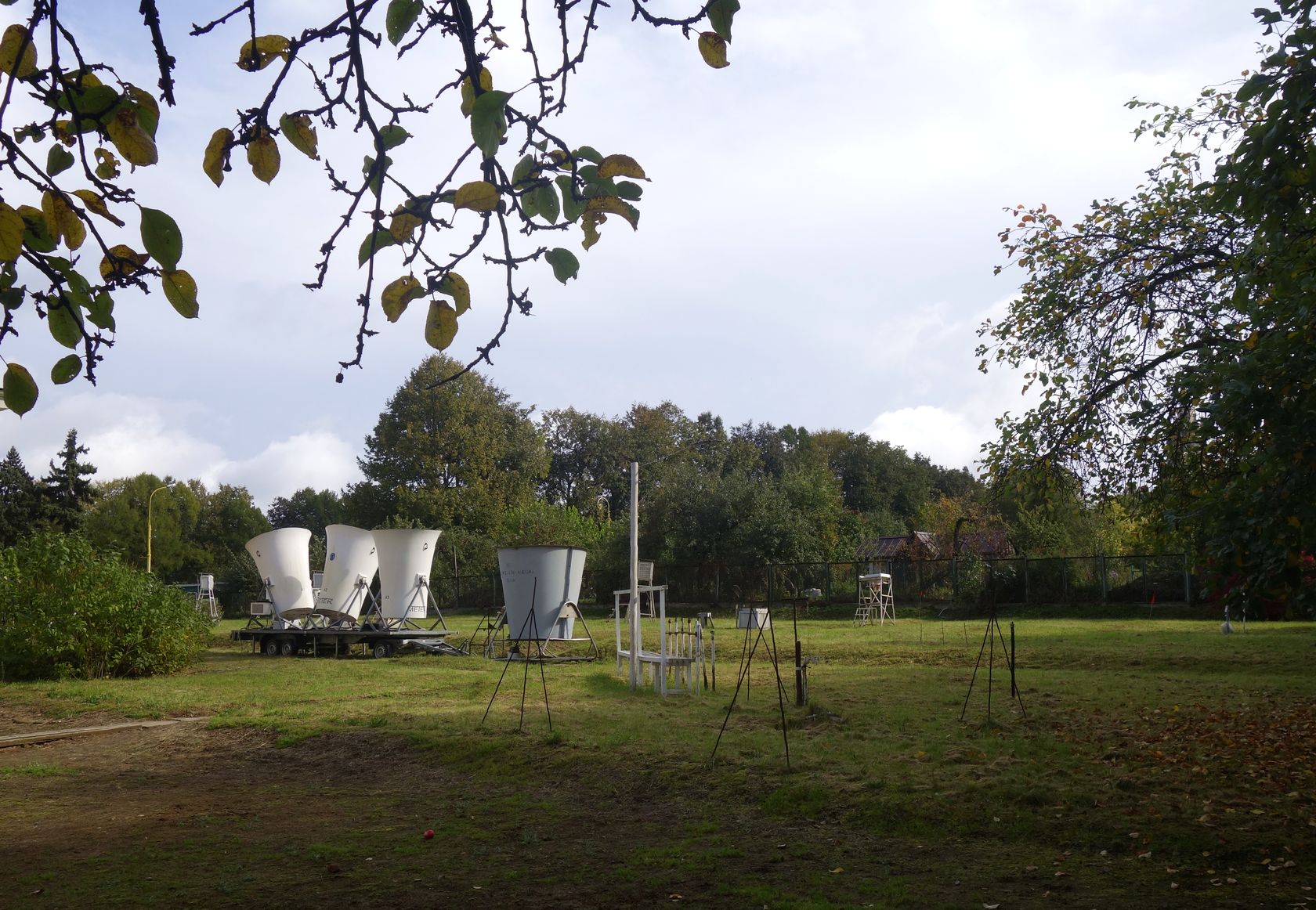 Территория МГУ, image of landscape/habitat.