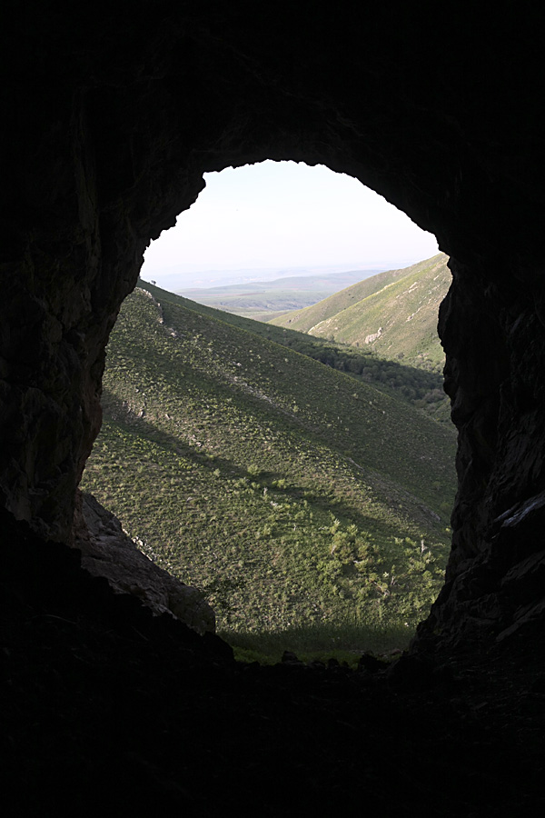 Ущелье Кенозен, image of landscape/habitat.