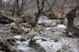 Image of landscape