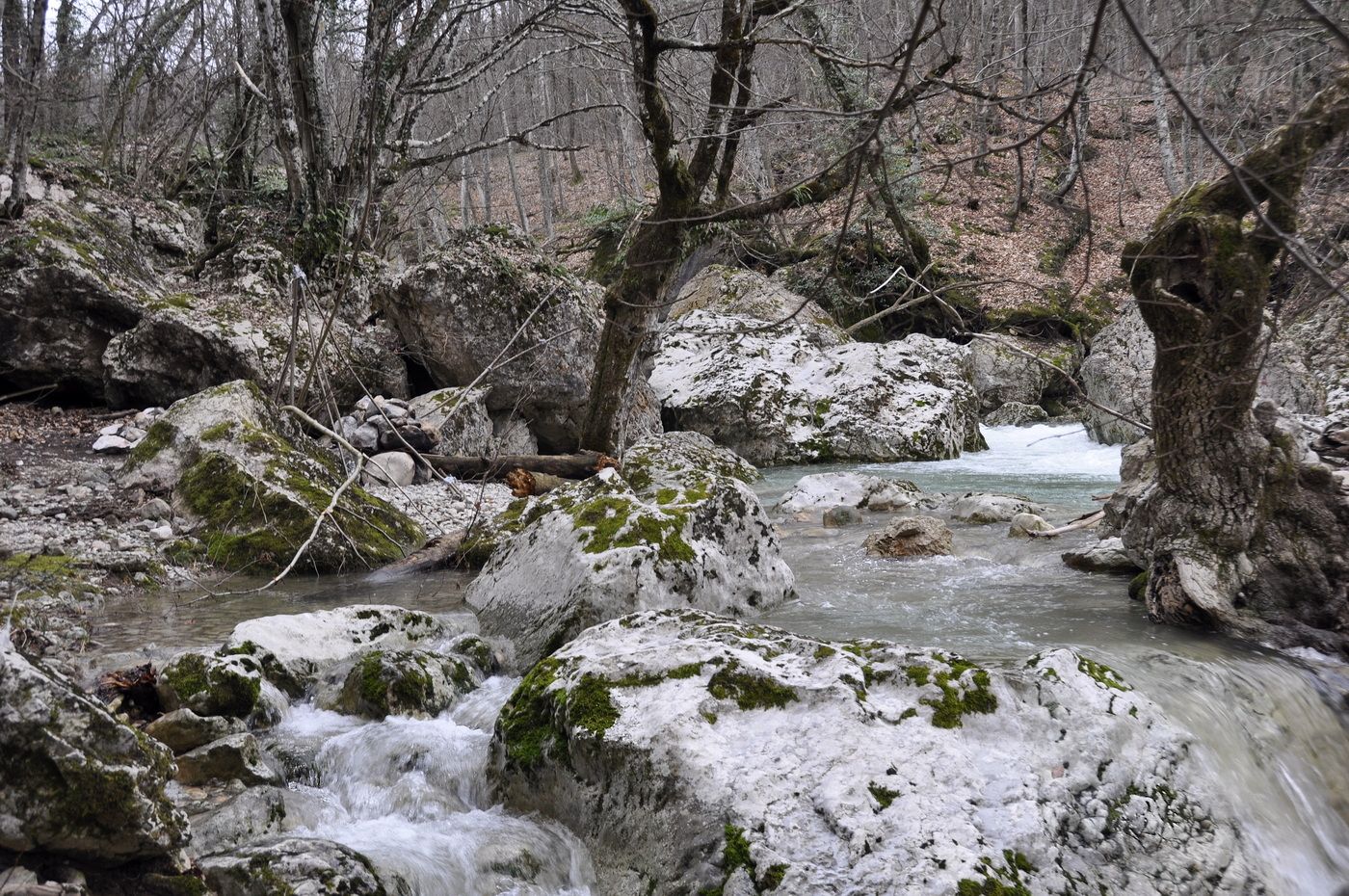 Окрестности Соколиного, image of landscape/habitat.