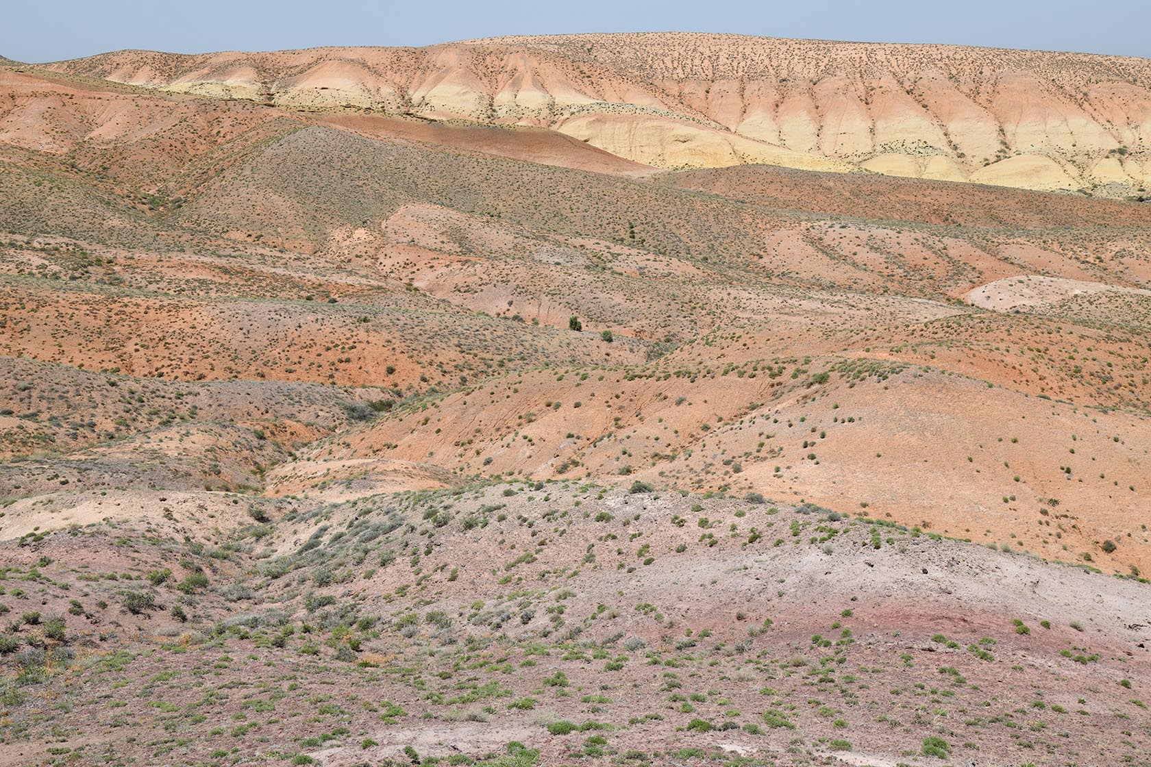Бала-Богуты, изображение ландшафта.