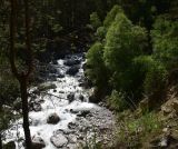 Долина реки Шхельда, image of landscape/habitat.