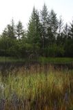 Image of landscape