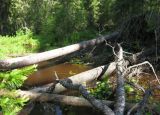 Image of landscape