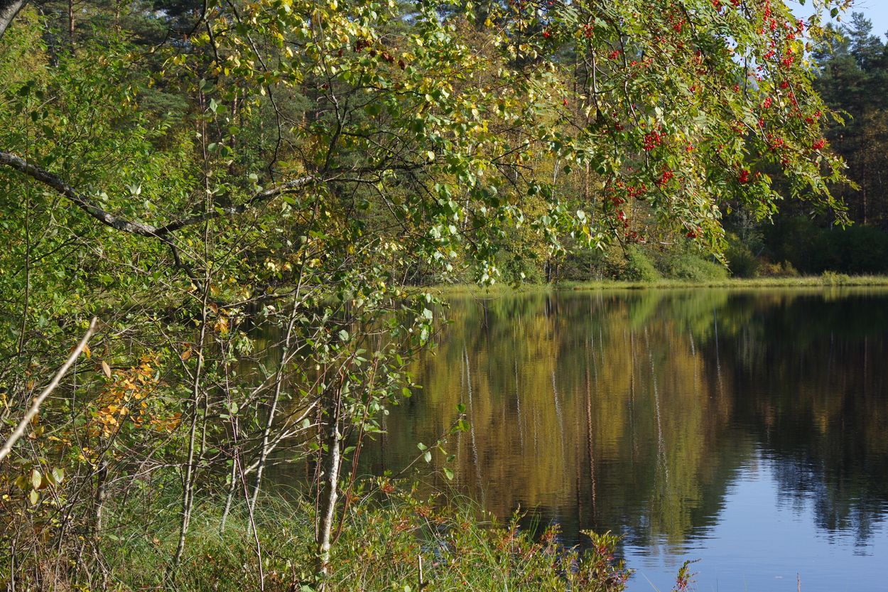 Озеро Змеёвка, image of landscape/habitat.