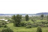 Красная Горка, image of landscape/habitat.
