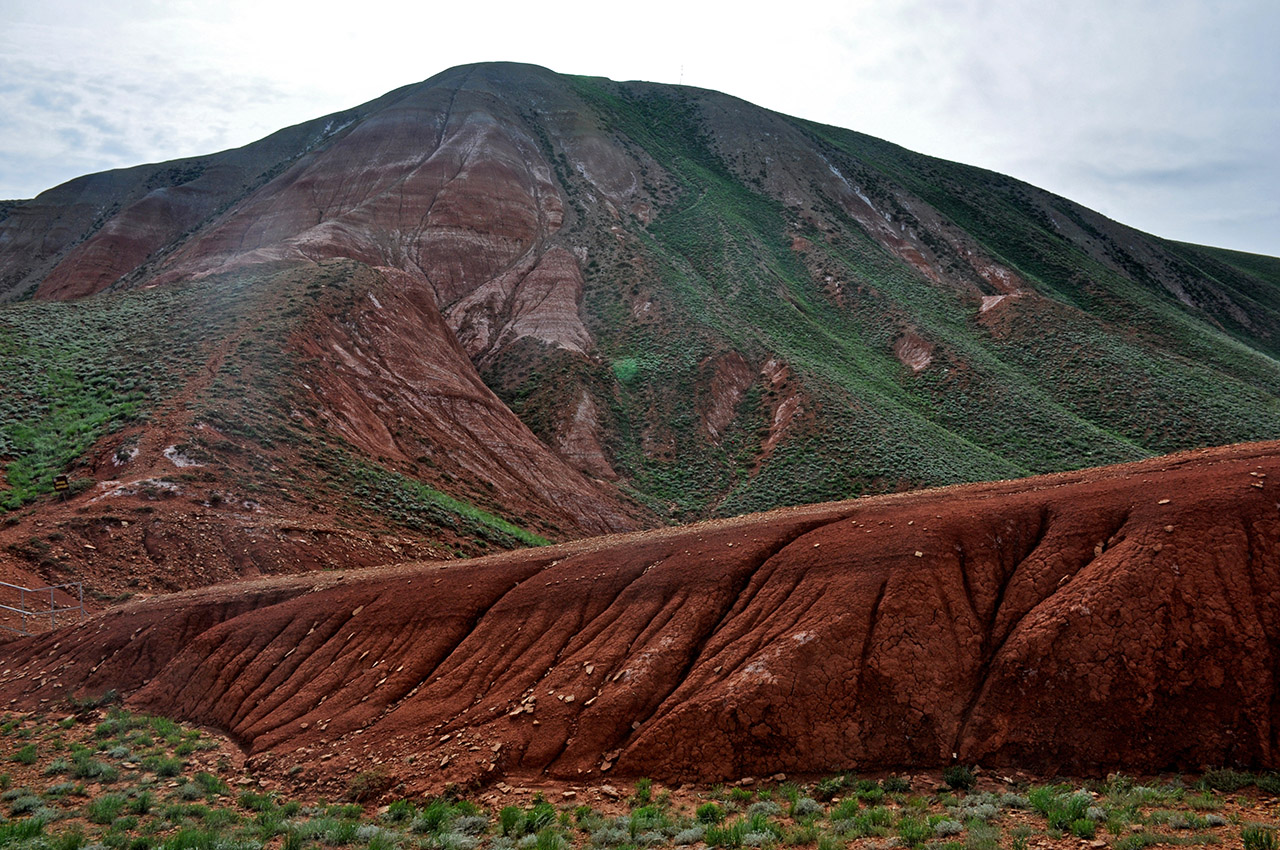 Гора Большое Богдо, image of landscape/habitat.