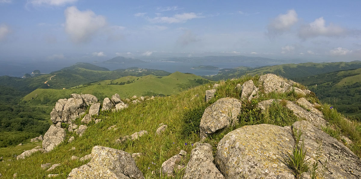 Полуостров Гамова, image of landscape/habitat.