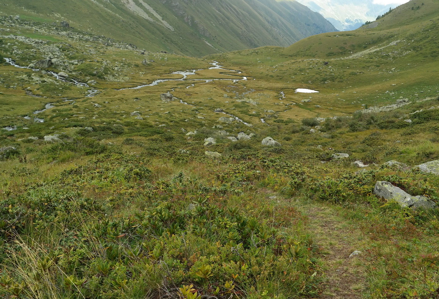 Ущелье реки Азгек, image of landscape/habitat.