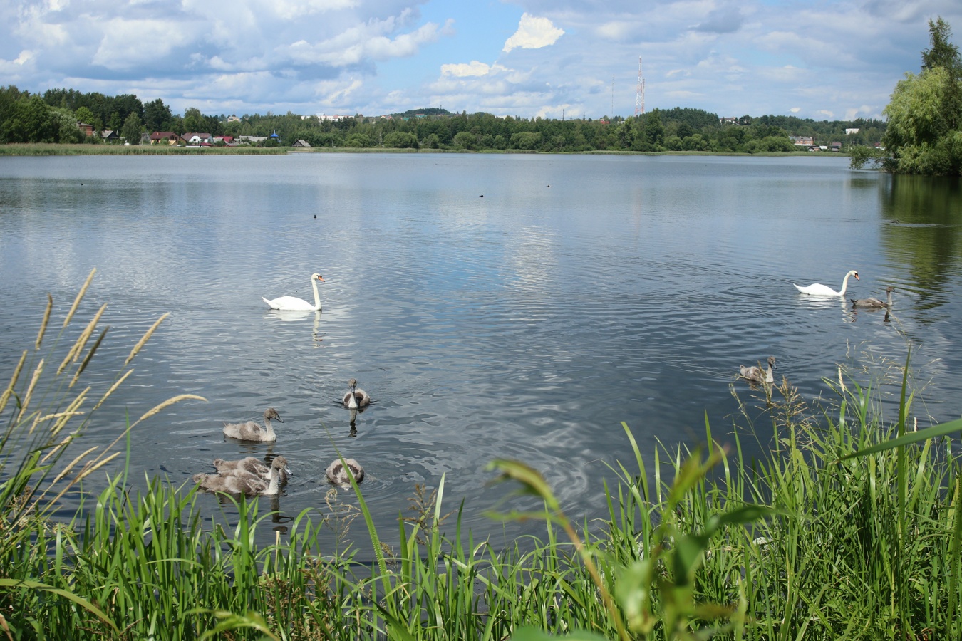 Себеж, image of landscape/habitat.