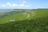 Image of landscape